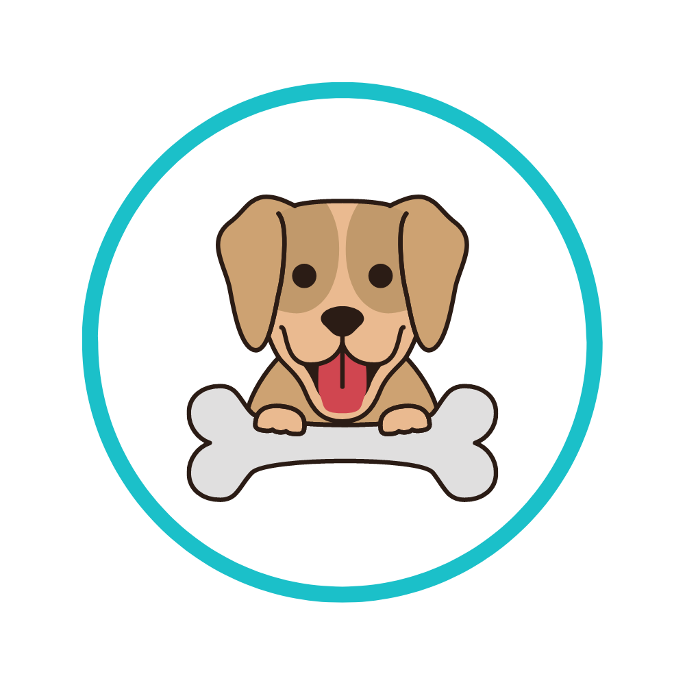 HeyDogs